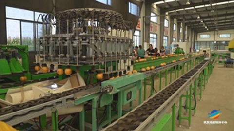 First Fruit Standardization Origin Service Forum