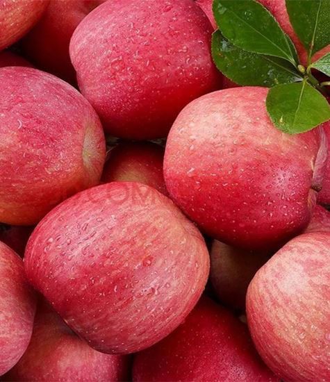 Alla typer av äpplen